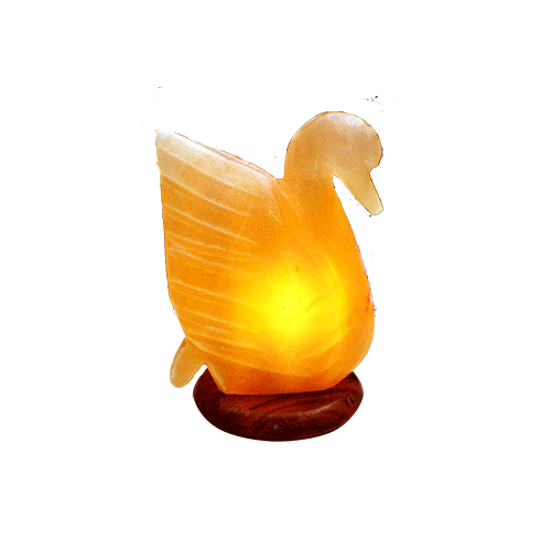 Himalayan salt lamp ecobeau8y